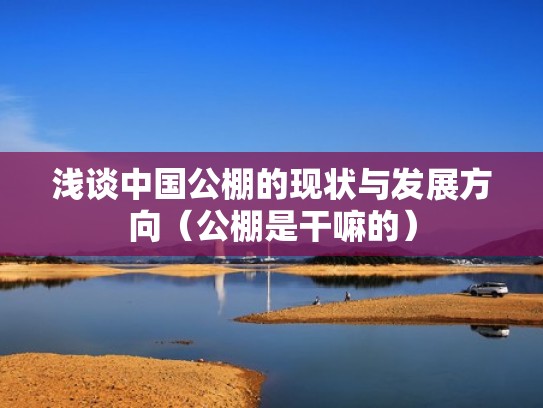 浅谈中国公棚的现状与发展方向（公棚是干嘛的）