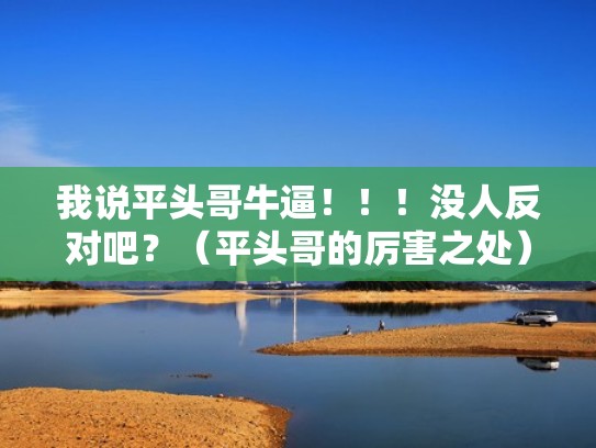 我说平头哥牛逼！！！没人反对吧？（平头哥的厉害之处）
