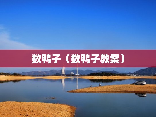 数鸭子（数鸭子教案）