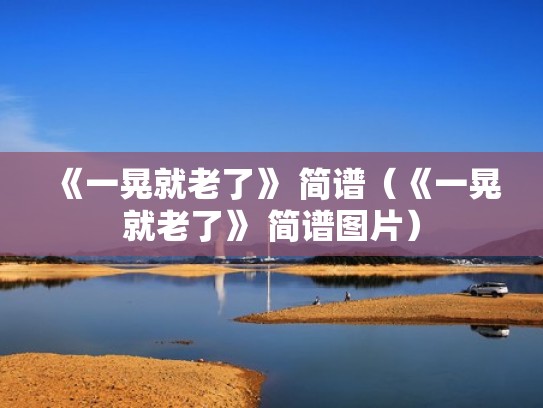 《一晃就老了》 简谱（《一晃就老了》 简谱图片）