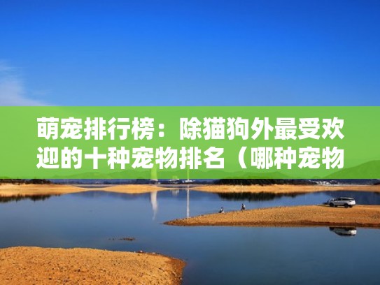 萌宠排行榜：除猫狗外最受欢迎的十种宠物排名（哪种宠物最受欢迎）