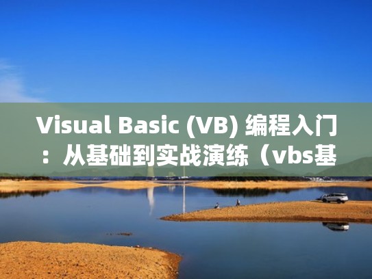 Visual Basic (VB) 编程入门：从基础到实战演练（vbs基础编程教程）