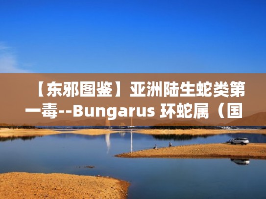 【东邪图鉴】亚洲陆生蛇类第一毒--Bungarus 环蛇属(国内三种环蛇) 【东邪图鉴】亚洲陆生蛇类第一毒--Bungarus 环蛇属(国内三种环蛇)