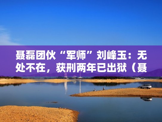 聂磊团伙“军师”刘峰玉：无处不在，获刑两年已出狱（聂峰的哪些作品值得收藏）