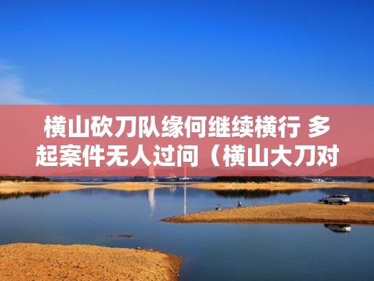 横山砍刀队缘何继续横行 多起案件无人过问（横山大刀对）