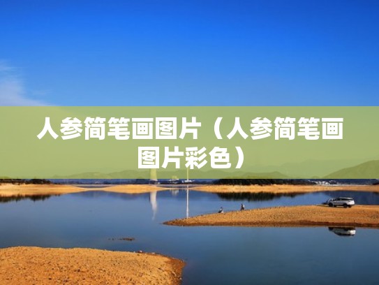 人参简笔画图片（人参简笔画图片彩色）