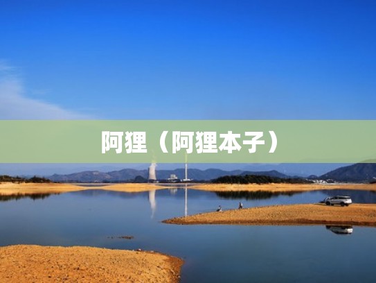 阿狸（阿狸本子）