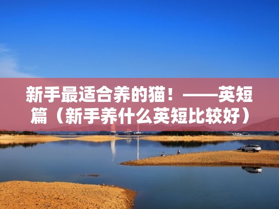 新手最适合养的猫!——英短篇(新手养什么英短比较好) 新手最适合养的猫!——英短篇(新手养什么英短比较好)