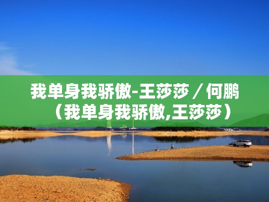 我单身我骄傲-王莎莎／何鹏（我单身我骄傲,王莎莎）