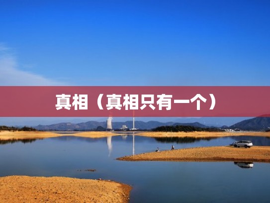 真相（真相只有一个）
