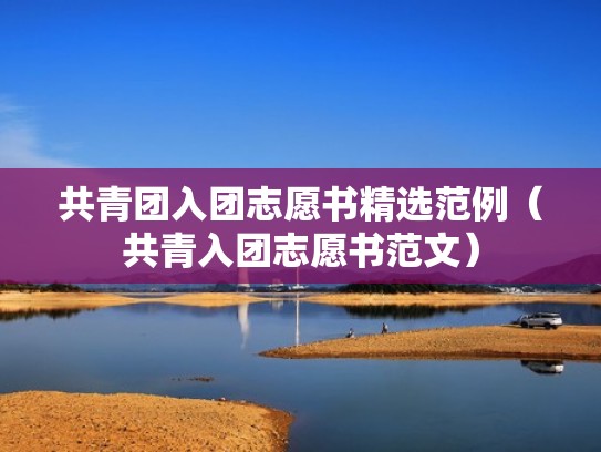 共青团入团志愿书精选范例（共青入团志愿书范文）