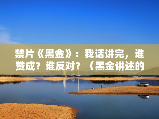 禁片《黑金》：我话讲完，谁赞成？谁反对？（黑金讲述的是什么意思）