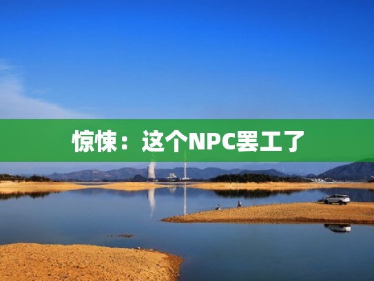 惊悚：这个NPC罢工了