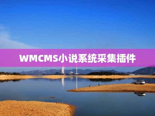 WMCMS小说系统采集插件