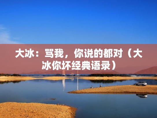 大冰:骂我,你说的都对(大冰你坏经典语录) 大冰:骂我,你说的都对(大冰你坏经典语录)