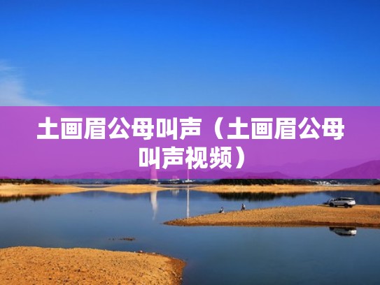 土画眉公母叫声（土画眉公母叫声视频）