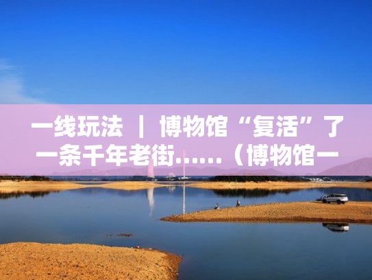 一线玩法 ｜ 博物馆“复活”了一条千年老街……（博物馆一座城市的灵魂）