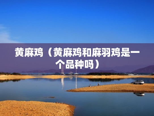黄麻鸡（黄麻鸡和麻羽鸡是一个品种吗）