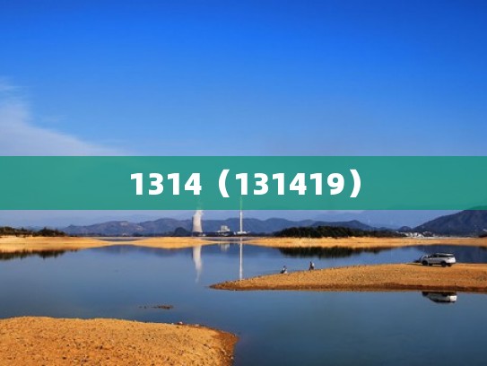 1314（131419）