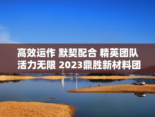 高效运作 默契配合 精英团队 活力无限 2023鼎胜新材料团建完美收官（鼎胜新材2020年报）