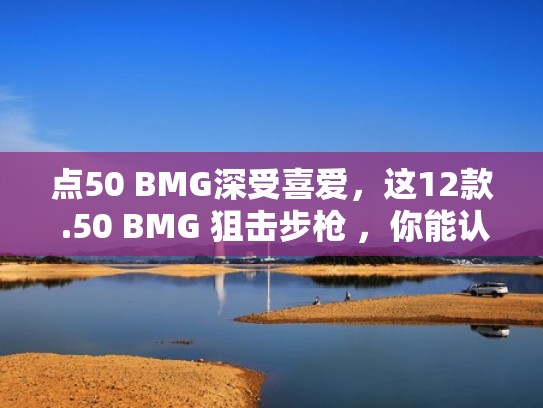 点50 BMG深受喜爱，这12款 .50 BMG 狙击步枪 ，你能认出来几款（50口径的狙击枪）