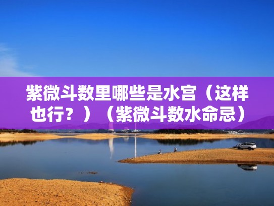 紫微斗数里哪些是水宫（这样也行？）（紫微斗数水命忌）