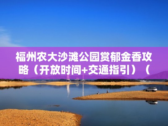 福州农大沙滩公园赏郁金香攻略（开放时间+交通指引）（福州农大旁边的楼盘）