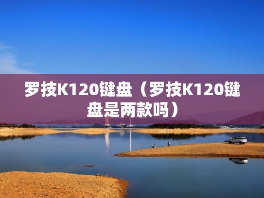 罗技K120键盘（罗技K120键盘是两款吗）