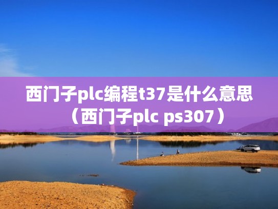 西门子plc编程t37是什么意思(西门子plc ps307) 西门子plc编程t37是什么意思(西门子plc ps307)