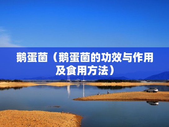 鹅蛋菌（鹅蛋菌的功效与作用及食用方法）