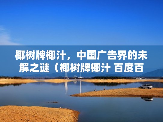 椰树牌椰汁，中国广告界的未解之谜（椰树牌椰汁 百度百科）