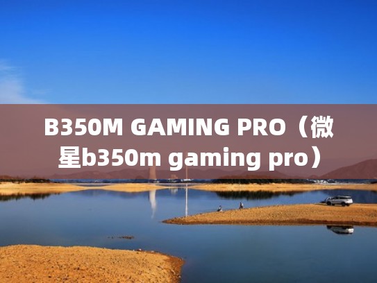 B350M GAMING PRO（微星b350m gaming pro）
