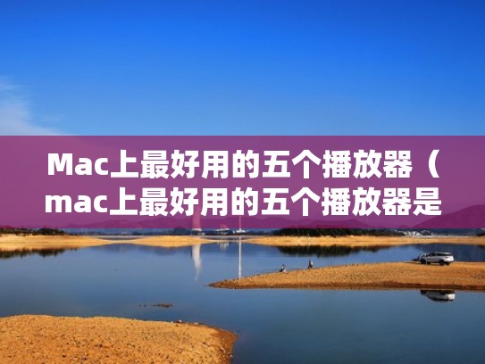 Mac上最好用的五个播放器（mac上最好用的五个播放器是什么）