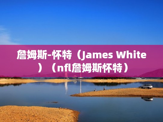詹姆斯-怀特（James White）（nfl詹姆斯怀特）