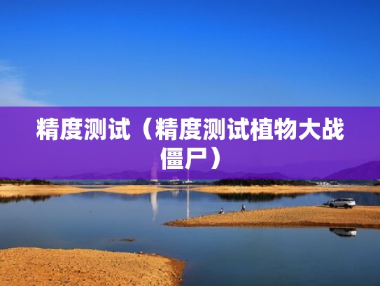 精度测试（精度测试植物大战僵尸）