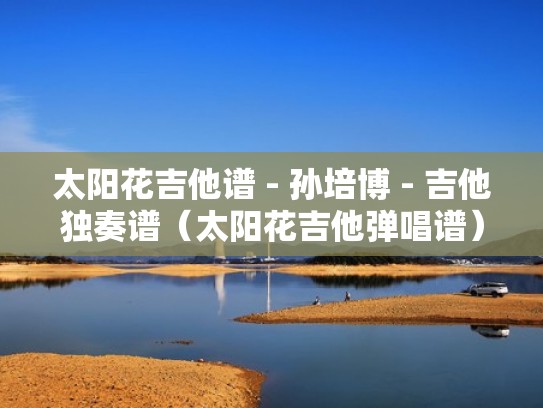 太阳花吉他谱 - 孙培博 - 吉他独奏谱（太阳花吉他弹唱谱）