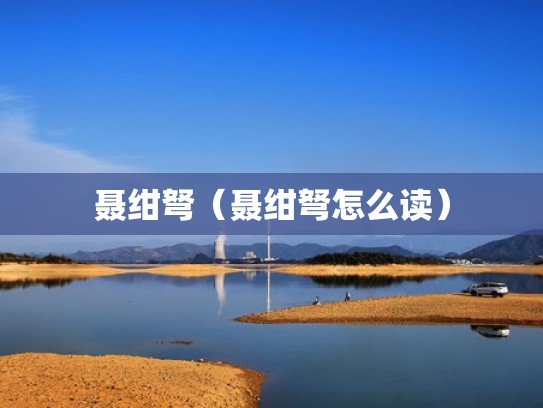 聂绀弩（聂绀弩怎么读）