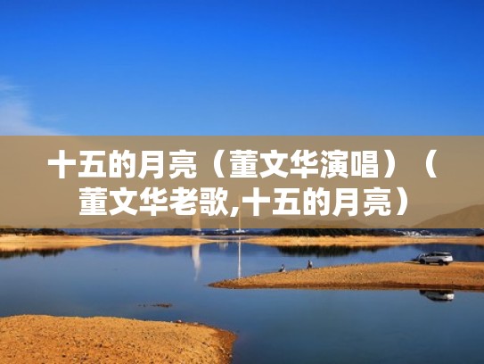 十五的月亮（董文华演唱）（董文华老歌,十五的月亮）