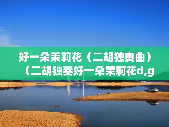 好一朵茉莉花（二胡独奏曲）（二胡独奏好一朵茉莉花d,g调伴奏带）