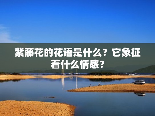 紫藤花的花语是什么？它象征着什么情感？