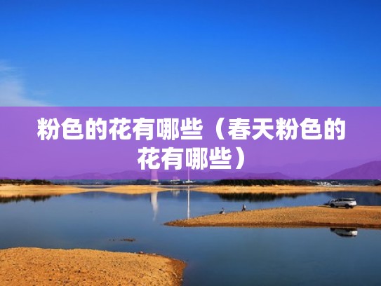 粉色的花有哪些（春天粉色的花有哪些）