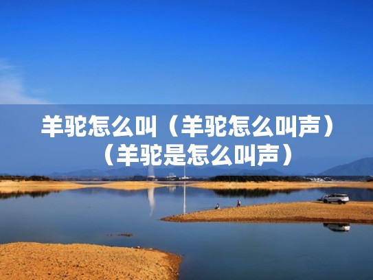 羊驼怎么叫（羊驼怎么叫声）（羊驼是怎么叫声）