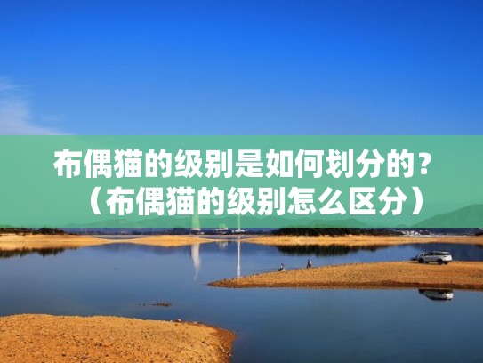 布偶猫的级别是如何划分的？（布偶猫的级别怎么区分）