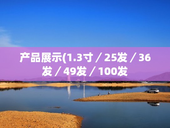 产品展示(1.3寸／25发／36发／49发／100发