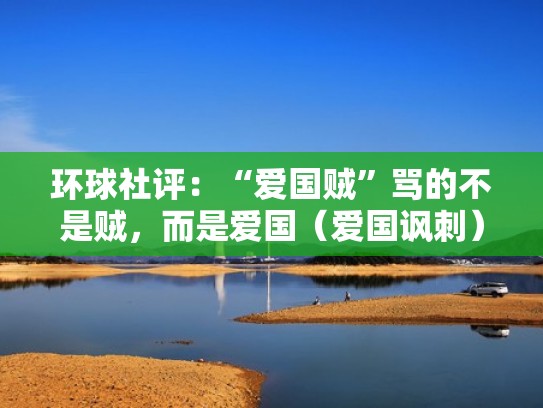 环球社评：“爱国贼”骂的不是贼，而是爱国（爱国讽刺）