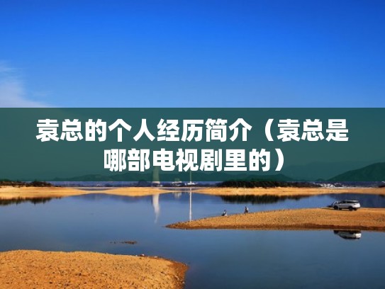 袁总的个人经历简介（袁总是哪部电视剧里的）