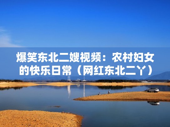 爆笑东北二嫂视频：农村妇女的快乐日常（网红东北二丫）