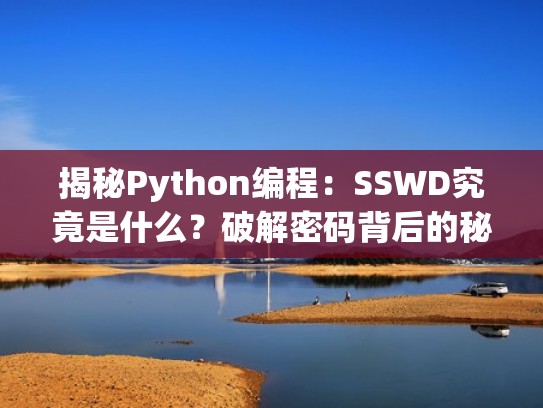 揭秘Python编程：SSWD究竟是什么？破解密码背后的秘密（sys stdin python）