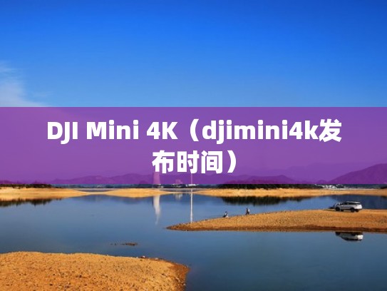 DJI Mini 4K（djimini4k发布时间）