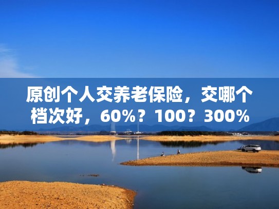 原创个人交养老保险，交哪个档次好，60%？100？300%？
